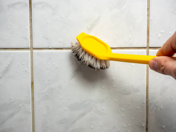 Best Affordable Mold Removal  in Delmar, MD