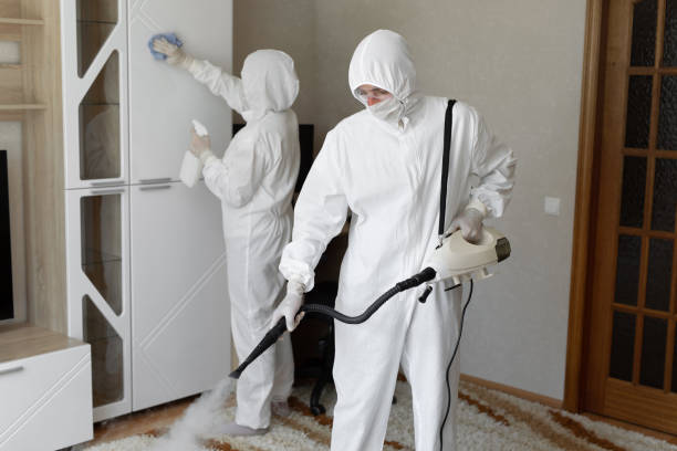 Certified Mold Removal in Delmar, MD