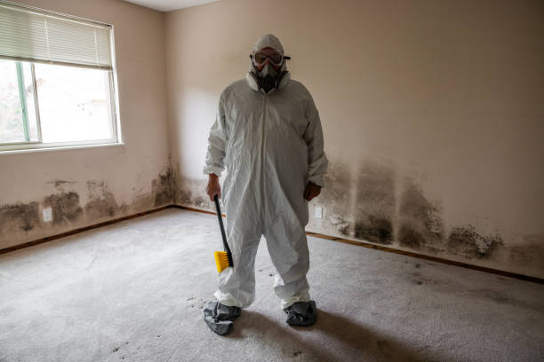 Best Certified Mold Removal  in Delmar, MD